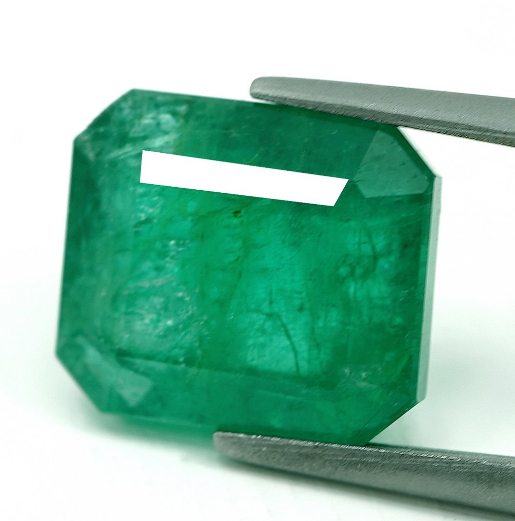 No Reserve Price - 1 pcs  Green Emerald  - 6.93 ct - Bellerophon Gemlab #1.0