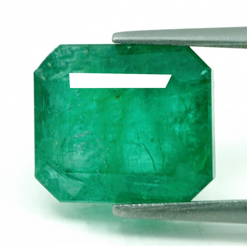 No Reserve Price - 1 pcs  Green Emerald  - 6.93 ct - Bellerophon Gemlab #1.0