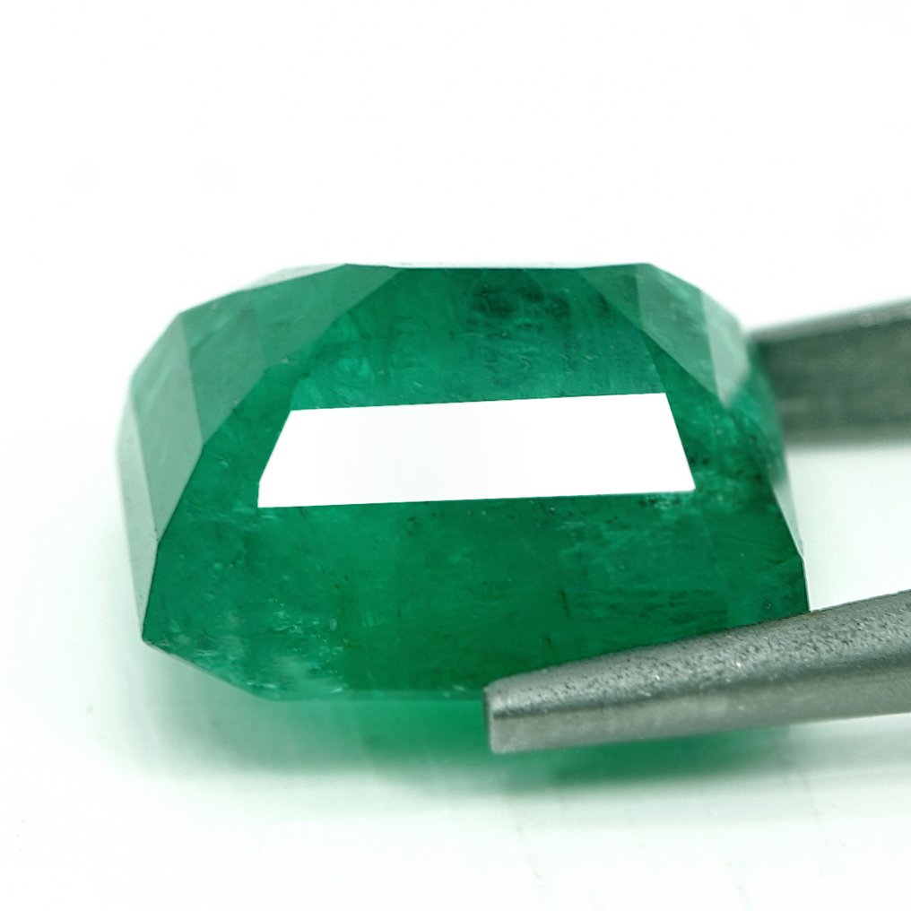 No Reserve Price - 1 pcs  Green Emerald  - 6.93 ct - Bellerophon Gemlab #4.3