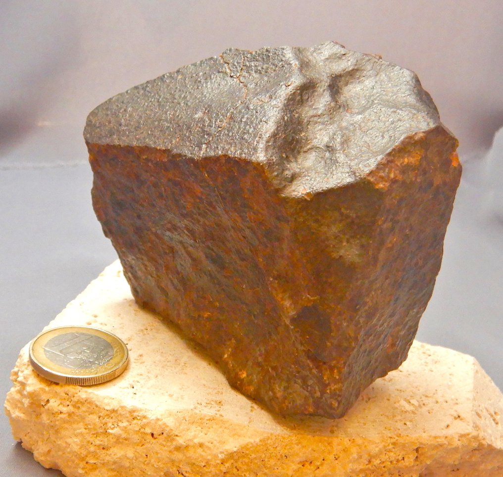 Chondriet Chondrite meteoriet - 583 g - (1) #1.0