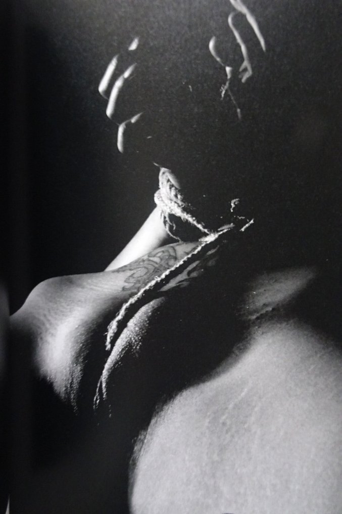 CHINA HAMILTON ( 1946-2018) - Erotic Domination - Limited to 200 copies with Original Print - As New - 2017 #1.0