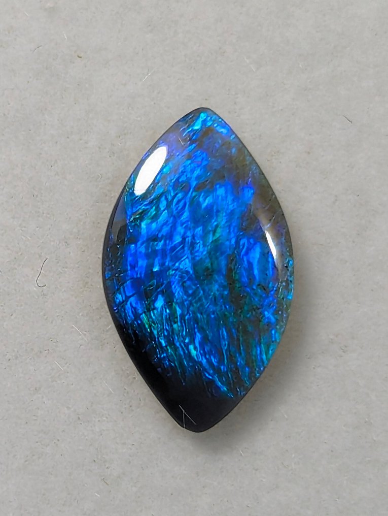 0,79 CT - Deslumbrantes Opalas de Cristal Preto Natural de Lightning Ridge, com jogo de cores. Cabochon, natural, polido - Altura: 10.5 mm - Largura: 6 mm- 0.16 g - (1) #1.0