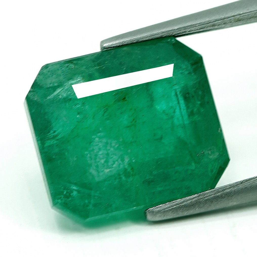 No Reserve Price - 1 pcs  Green Emerald  - 6.93 ct - Bellerophon Gemlab #2.1