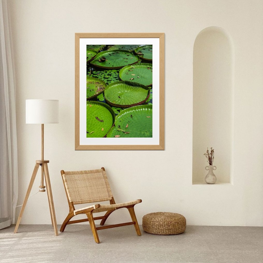 Gilliard Bressan - Victoria amazonica - XL #1.0