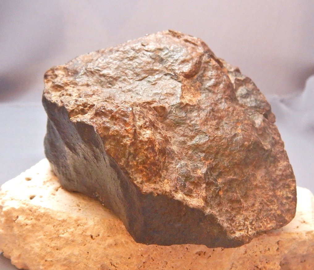Chondriet Chondrite meteoriet - 583 g - (1) #4.3