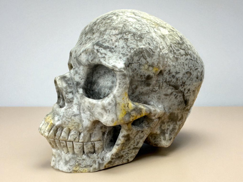 Κρανίο από Crazy Lace Agate Λαξεμένο κρανίο - Crazy Lace - 9.5 cm - 8.5 cm - 12 cm -  (1) #3.2