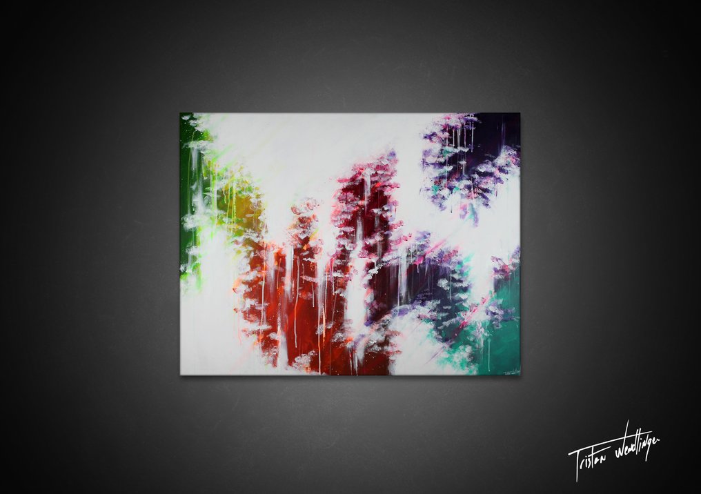 wendlinger Tristan - Aurore Spectrale XL #1.0