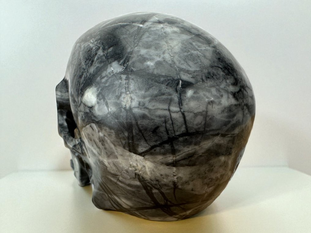 Gabbro Jasper " High Quality” Carved skull - Jasper - 9.5 cm - 8.5 cm - 12 cm -  (1) #4.3