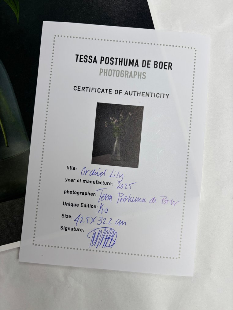 Tessa Posthuma de Boer - Orchid lily #1.0