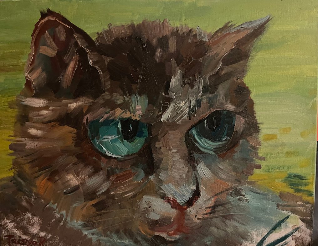 Pace (XXI) - Kitten #1.0