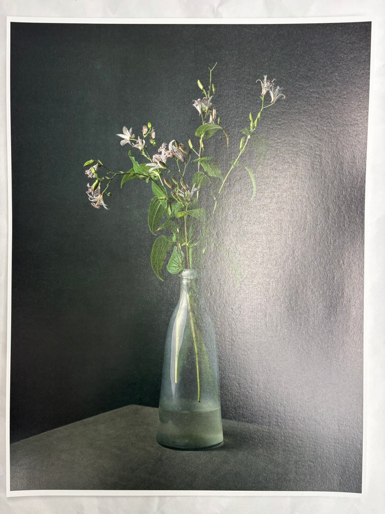 Tessa Posthuma de Boer - Orchid lily #4.3