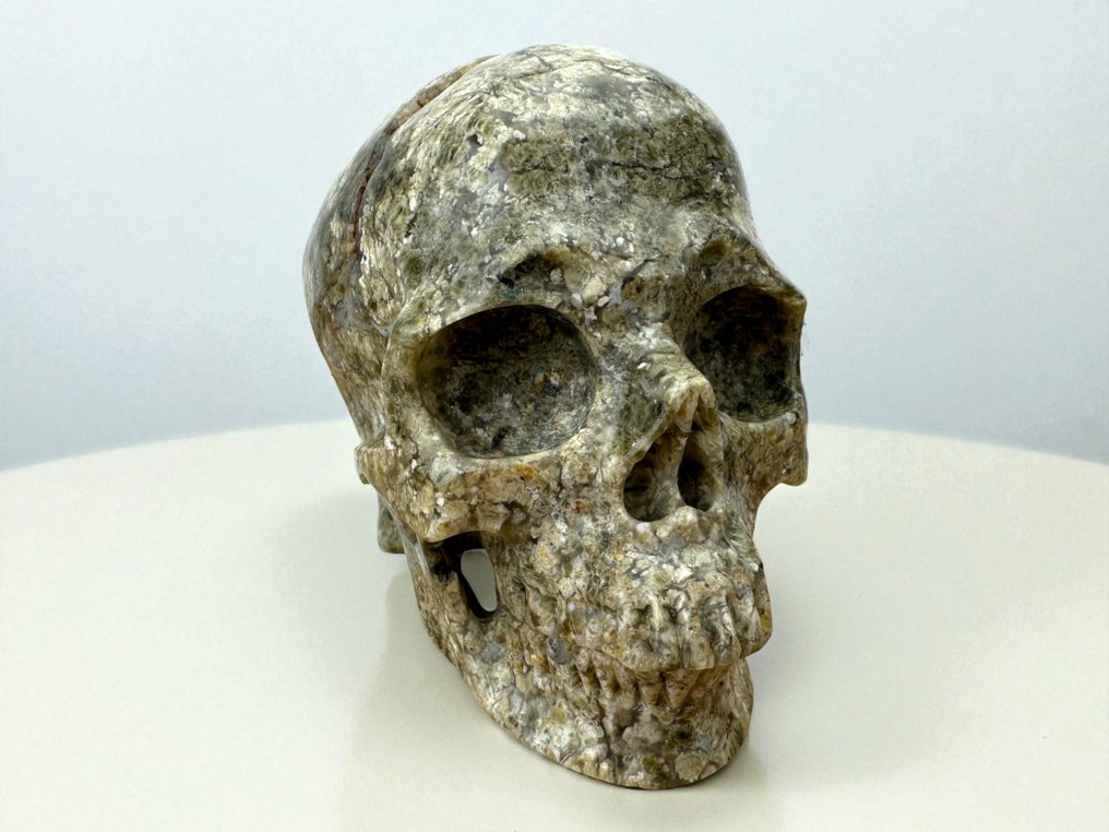 Fossilised coral Aquatic Jasper Skull “Museum Quality” Carved skull - Fossil - 9.5 cm - 8.5 cm - 12 cm - (1) #1.0