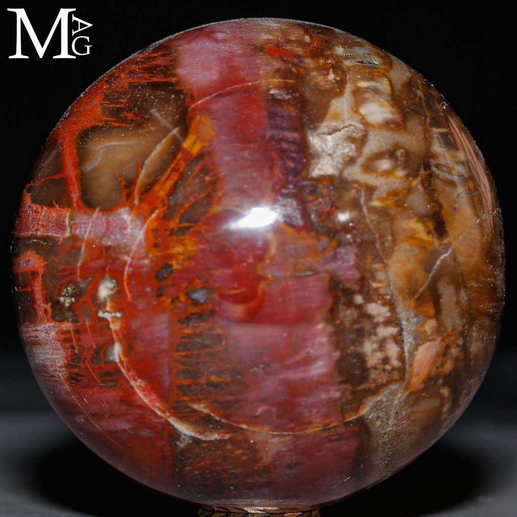 To-farvet: Halv rød - halv brun Poleret fossilt træ kugle - Topkvalitetskollektion - Fossiltræ kugle - Højde: 75 mm - Bredde: 75 mm- 598 g #3.2