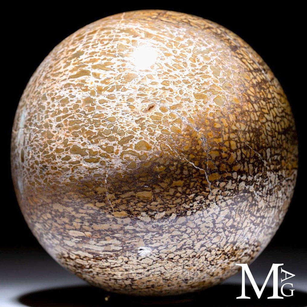 Stor kule i dinosaurbein - Atlasaurus-eksemplar - Prezioso fossilt fragment - Høyde: 105 mm - Bredde: 105 mm- 1645 g #4.3