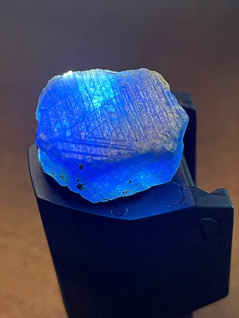 蓝宝石 不寻常的顶级皇家蓝。“全晶体和高品质特殊巨大块” 68.5 克拉。 - 高度: 24 mm - 宽度: 21 mm- 13.7 g #1.0