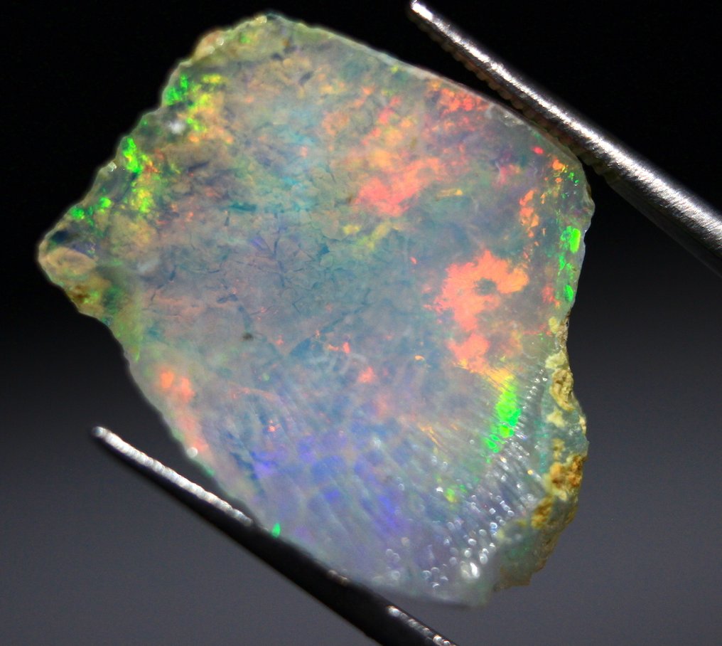 ΔΩΡΕΑΝ ΑΠΟΣΤΟΛΗ Cts. 35.30 Αιθιοπαλοί Όπαλ Τραχύ- 7.06 g #1.0