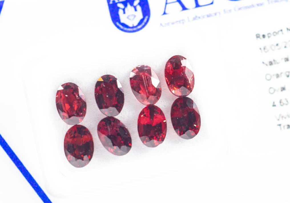 No Reserve Price - 8 pcs Spinel - 4.63 ct - Antwerp Laboratory for Gemstone Testing (ALGT) - Vivid deep orangy red #1.0