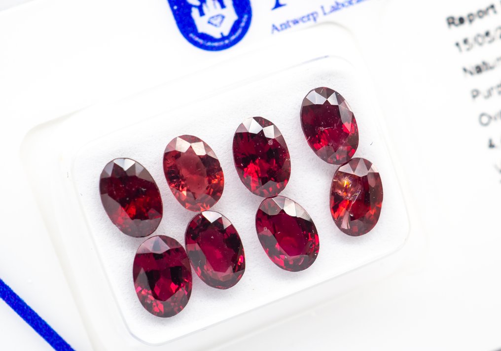 χωρίς τιμή ασφαλείας - 8 pcs  Σπινέλιος  - 4.45 ct - Antwerp Laboratory for Gemstone Testing (ALGT) - Ζωντανό/Βαθύ Μωβ-Κόκκινο #1.0