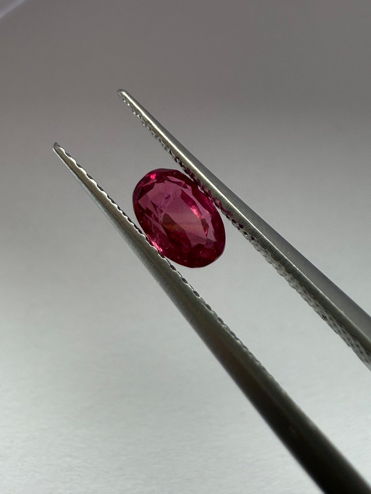 1 pcs  红色 红宝石  - 0.65 ct - 安特卫普宝石检测实验室（ALGT） #4.3