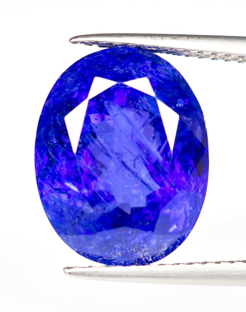 χωρίς τιμή ασφαλείας Τανζανίτης  - 9.69 ct - Bellerophon Gemlab - Μωβ-μπλε #1.0
