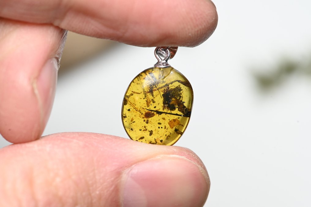 纯银缅甸琥珀吊坠 - 10件套，含化石昆虫包裹 - 光滑化石  (没有保留价) #2.1