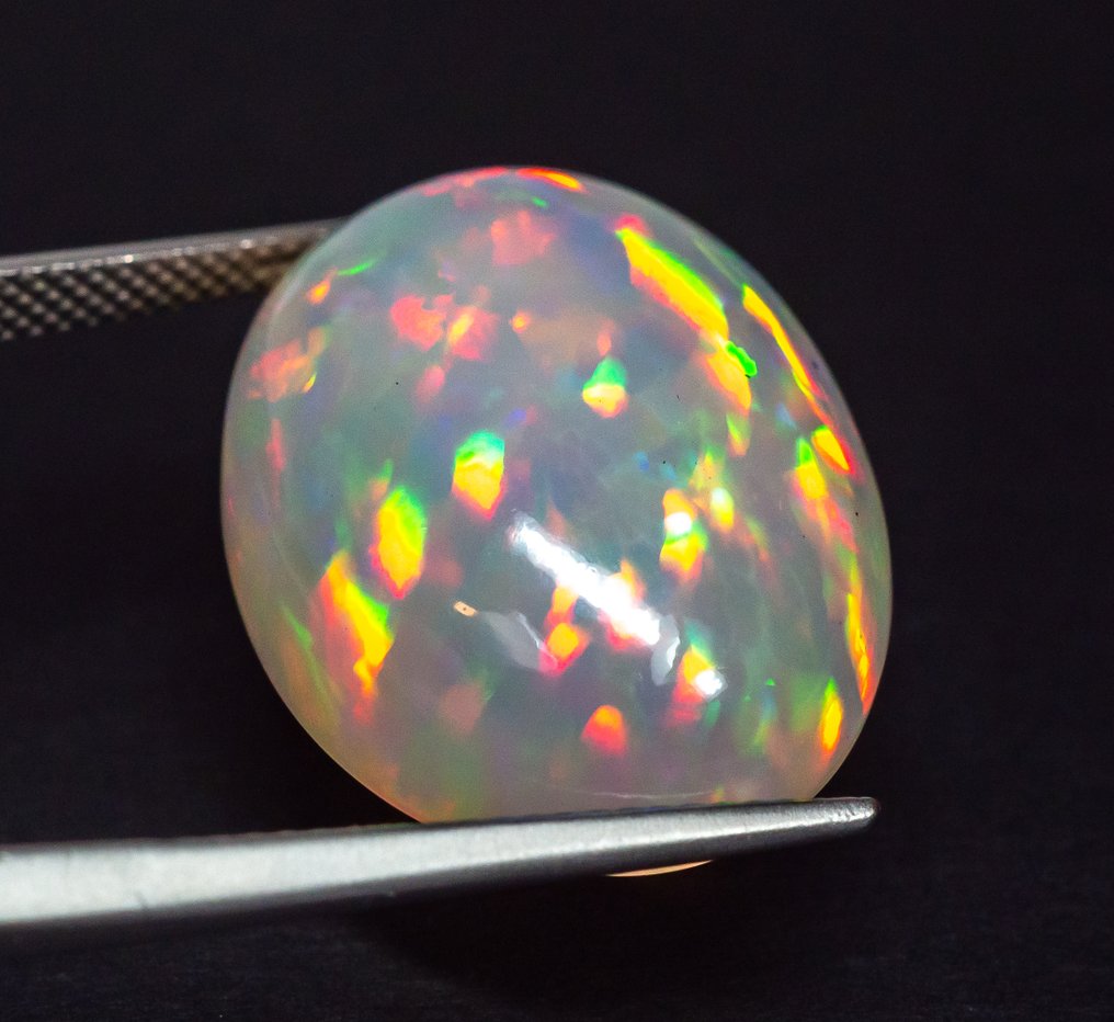 No Reserve Price Opal  - 22.74 ct - Gem Report Antwerp (GRA) - White 'Play of Colors' #3.2