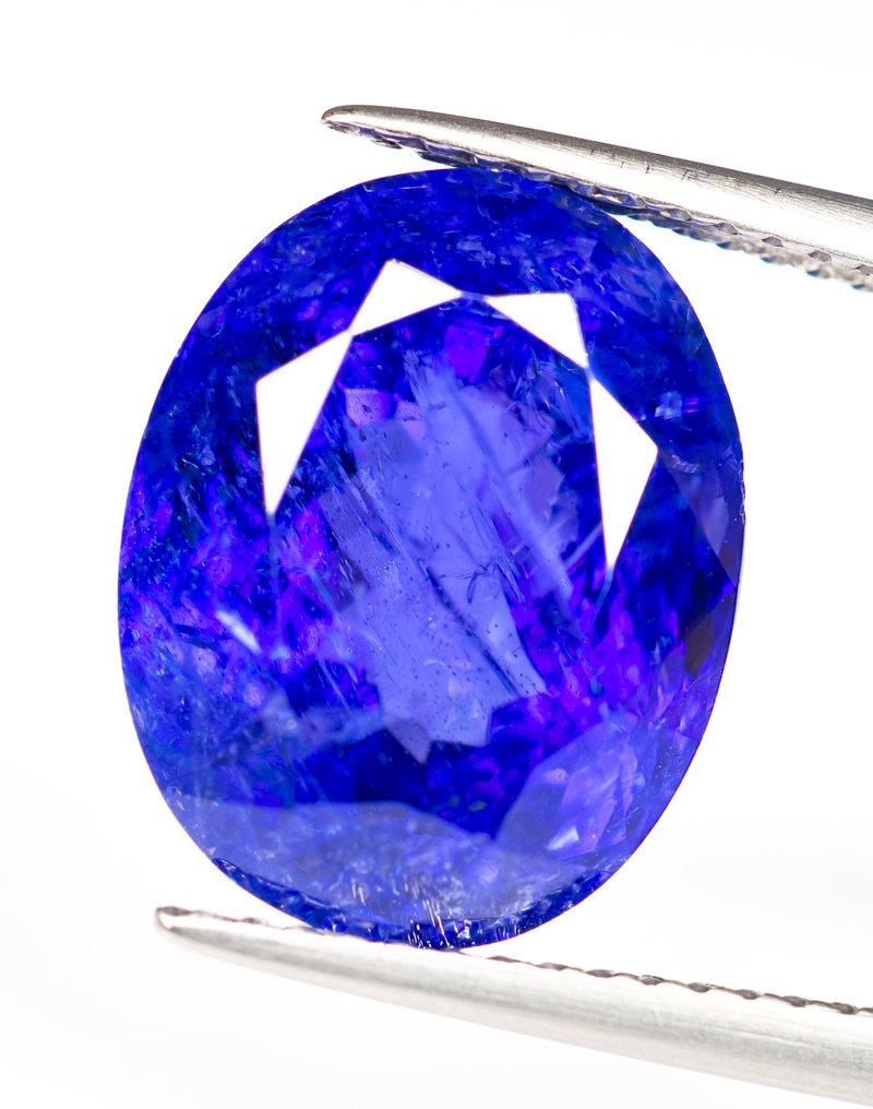 χωρίς τιμή ασφαλείας Τανζανίτης  - 9.69 ct - Bellerophon Gemlab - Μωβ-μπλε #2.1