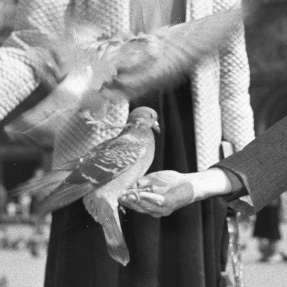 Cameraphoto Epoche/Vittorio Pavan - Marc Chagall con la moglie Bella Rosenfeld, Venezia 1948 #2.1