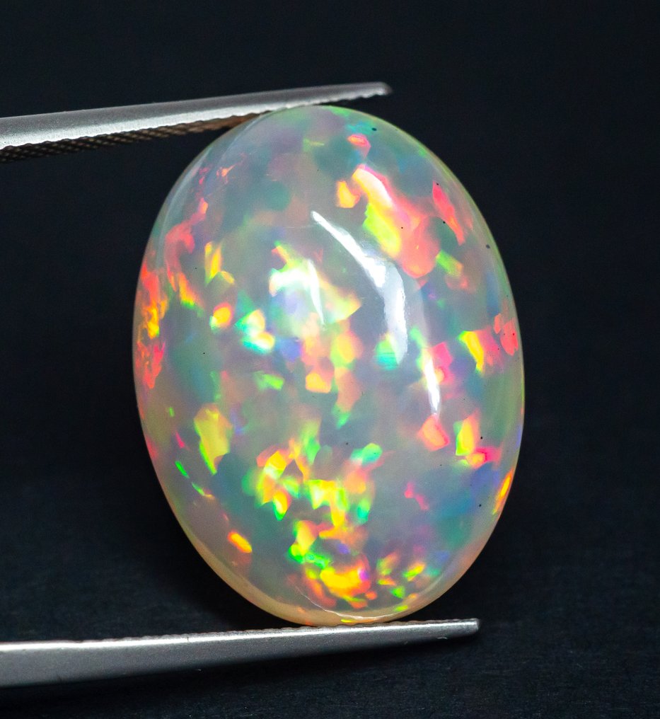 No Reserve Price Opal  - 22.74 ct - Gem Report Antwerp (GRA) - White 'Play of Colors' #1.0