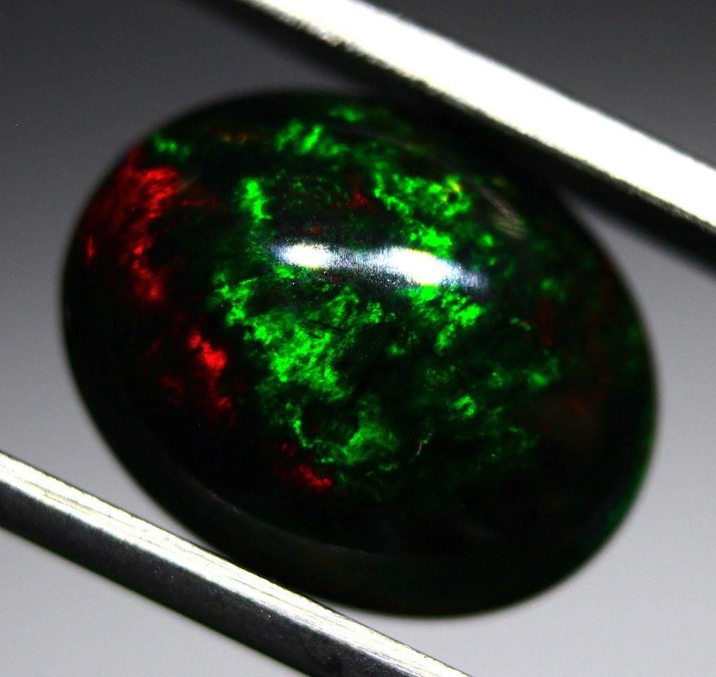 Gratis fragt ved køb over 3,70 Ct. Naturlig etiopisk sort opal. Cabochon - Højde: 14 mm - Bredde: 11 mm- 0.74 g #4.3