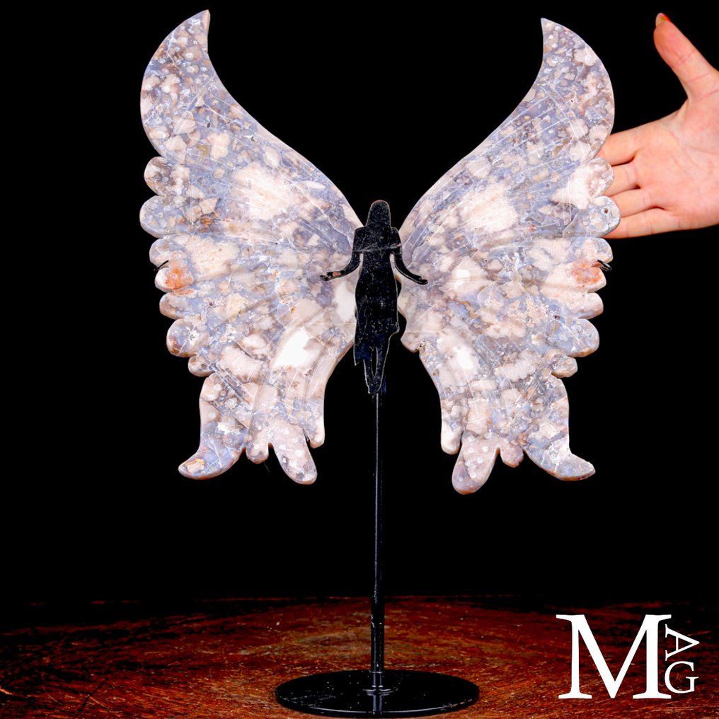 顶级雕刻 - 多彩玛瑙 - 蝴蝶翅膀 - 高度: 409 mm - 宽度: 280 mm- 1599 g #1.0