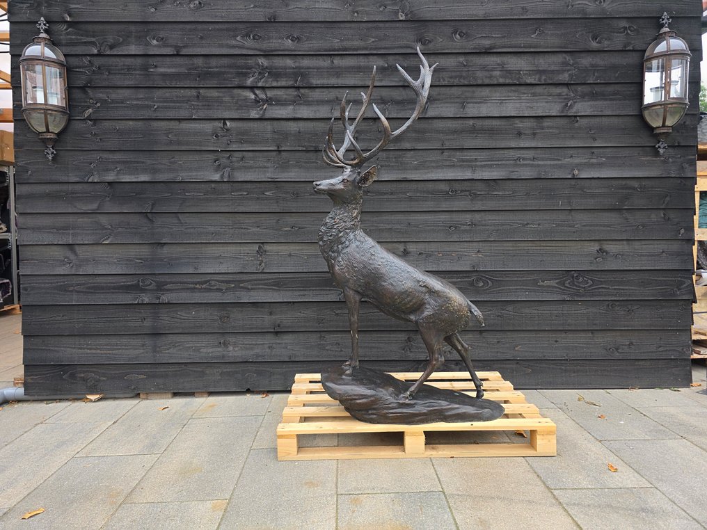 Statua, Bronze: XL Deer - 167.5 cm - Bronzo - 2025 #2.1