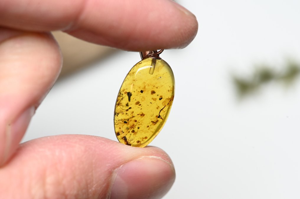 纯银缅甸琥珀吊坠 - 10件套，含化石昆虫包裹 - 光滑化石  (没有保留价) #4.3
