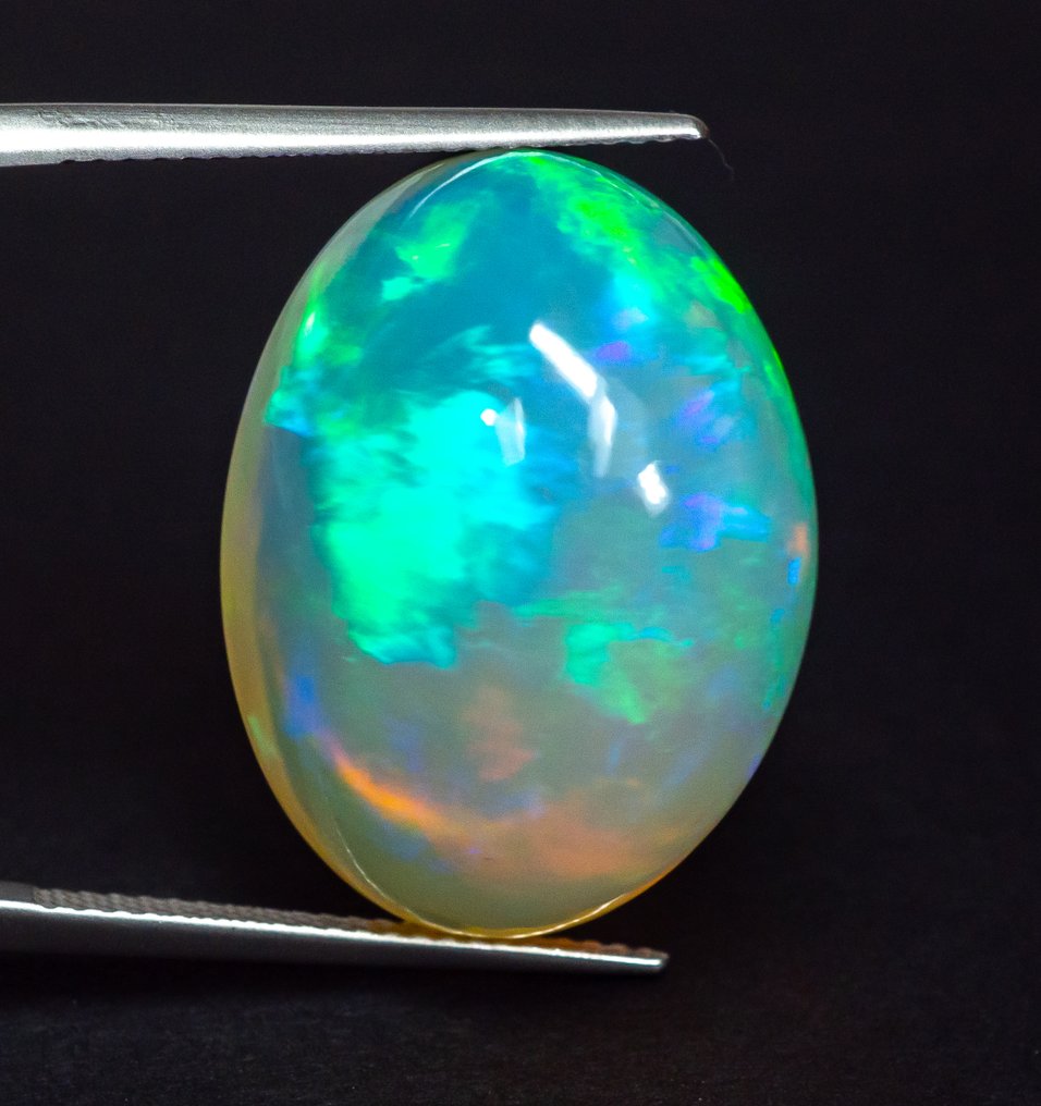 Ohne Mindestpreis Opal - 23.50 ct - Gem Report Antwerp (GRA) - Weißes 'Play of Colors' #1.0