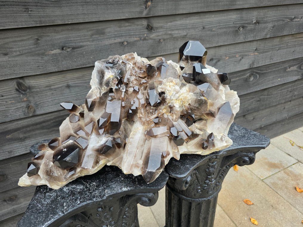 XXL 45.7kg! - Smokey Quartz Cluster - Height: 27 cm - Width: 62 cm- 45.7 kg #3.2