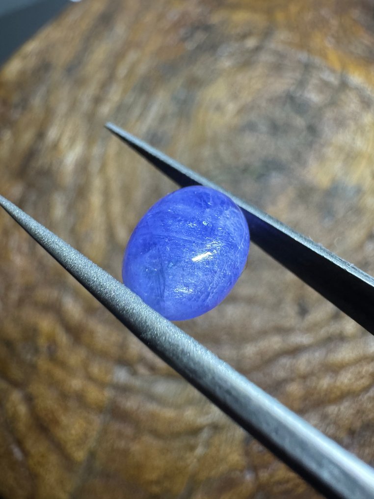 一套2个坦桑石缝制宝石，重8.29克拉 天然圆形宝石- 1.66 g - (2) #4.3