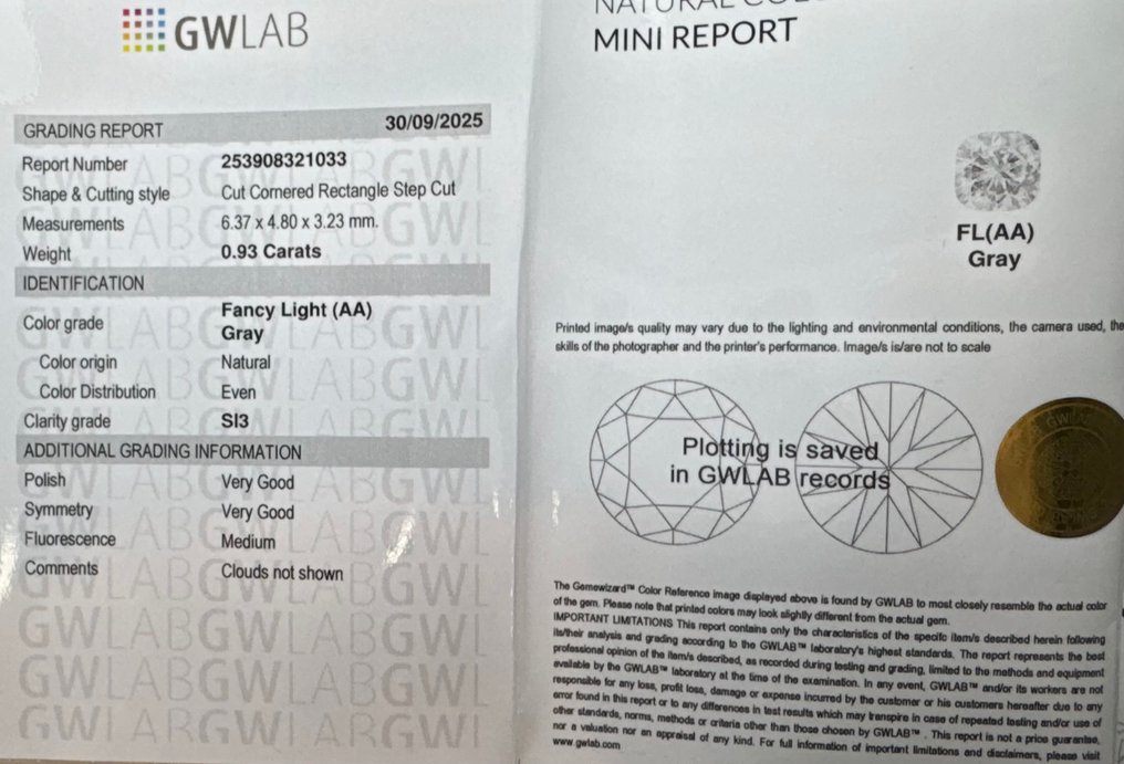 Sin precio de reserva - 1 pcs Diamante (Color natural) - 0.93 ct - Rectángulo - Fancy light Gris - SI3 - Gemewizard Gemological Laboratory (GWLab) #2.1