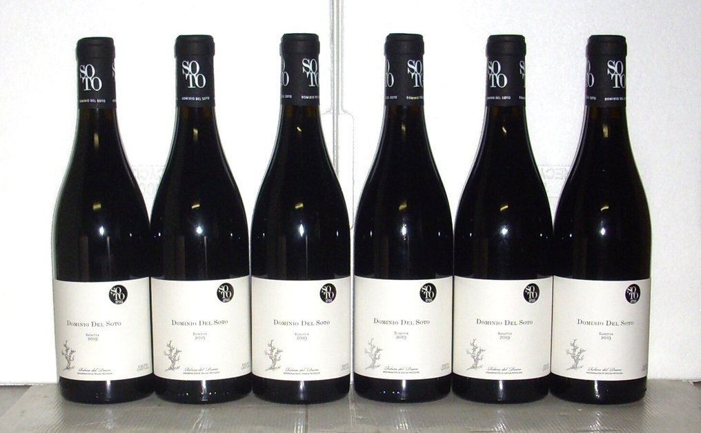 2019 Dominio Del Soto - Ribera del Duero Reserva - 6 Bottles (0.75L) #1.0