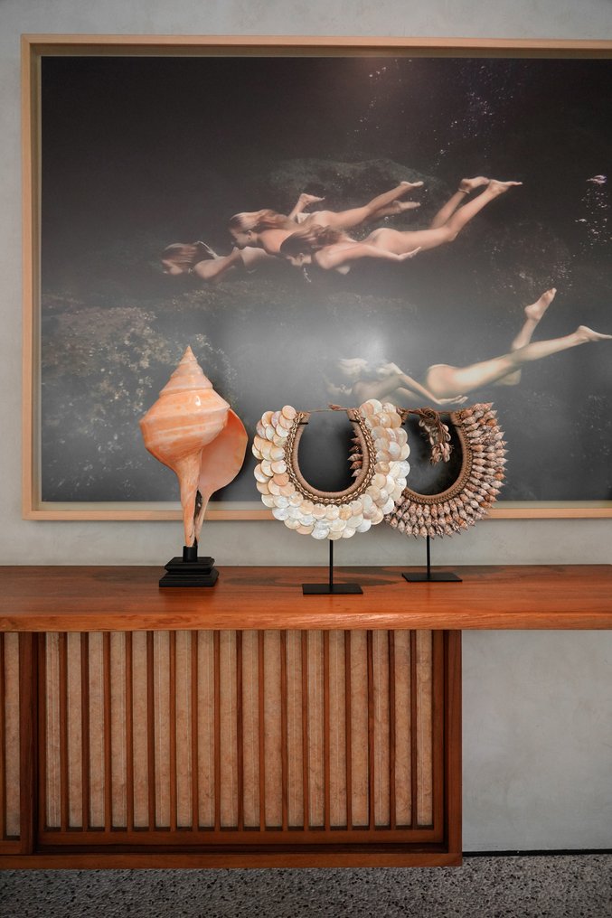 装饰饰品 - NO RESERVE PRICE - SN8 - Decorative Shell Necklace on a custom stand - 巴布亚新几内亚 #1.0