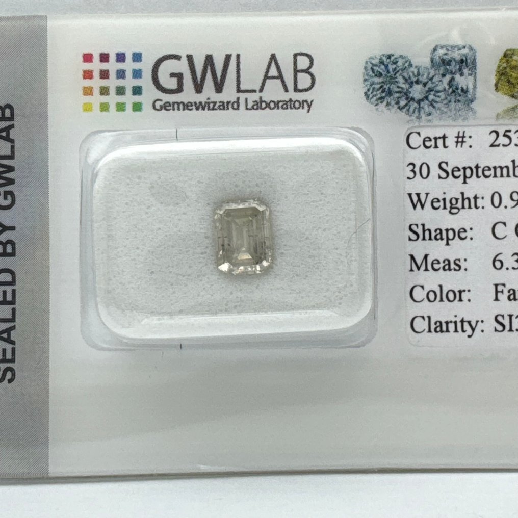 Sin precio de reserva - 1 pcs Diamante (Color natural) - 0.93 ct - Rectángulo - Fancy light Gris - SI3 - Gemewizard Gemological Laboratory (GWLab) #3.2