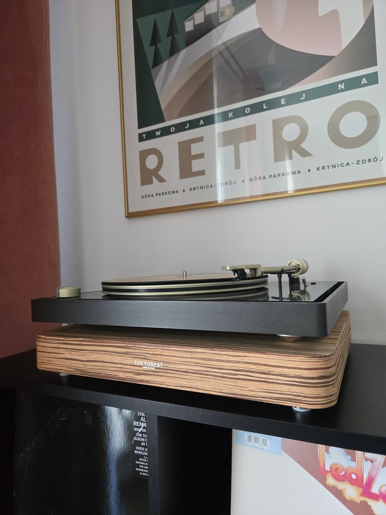 The Forest Audio - STAGE2+ Anti-vibration platform - handcrafted - Audio component #3.2