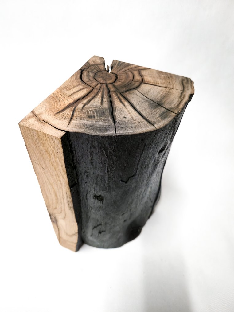The Forest - Art & Woodworking Studio - Table d'appoint - Chêne - Table basse en bûche de chêne recyclé #1.0