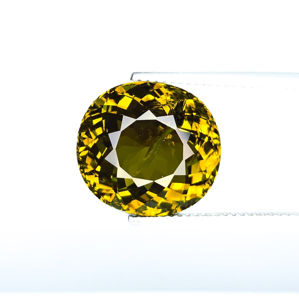 Green Tourmaline - 12.80 ct - International Gemological Institute (IGI) #3.2