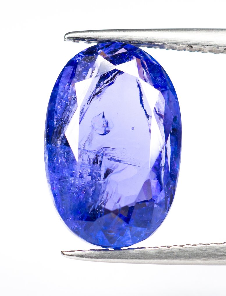 χωρίς τιμή ασφαλείας Τανζανίτης - 6.52 ct - Bellerophon Gemlab - Μωβ-μπλε #1.0