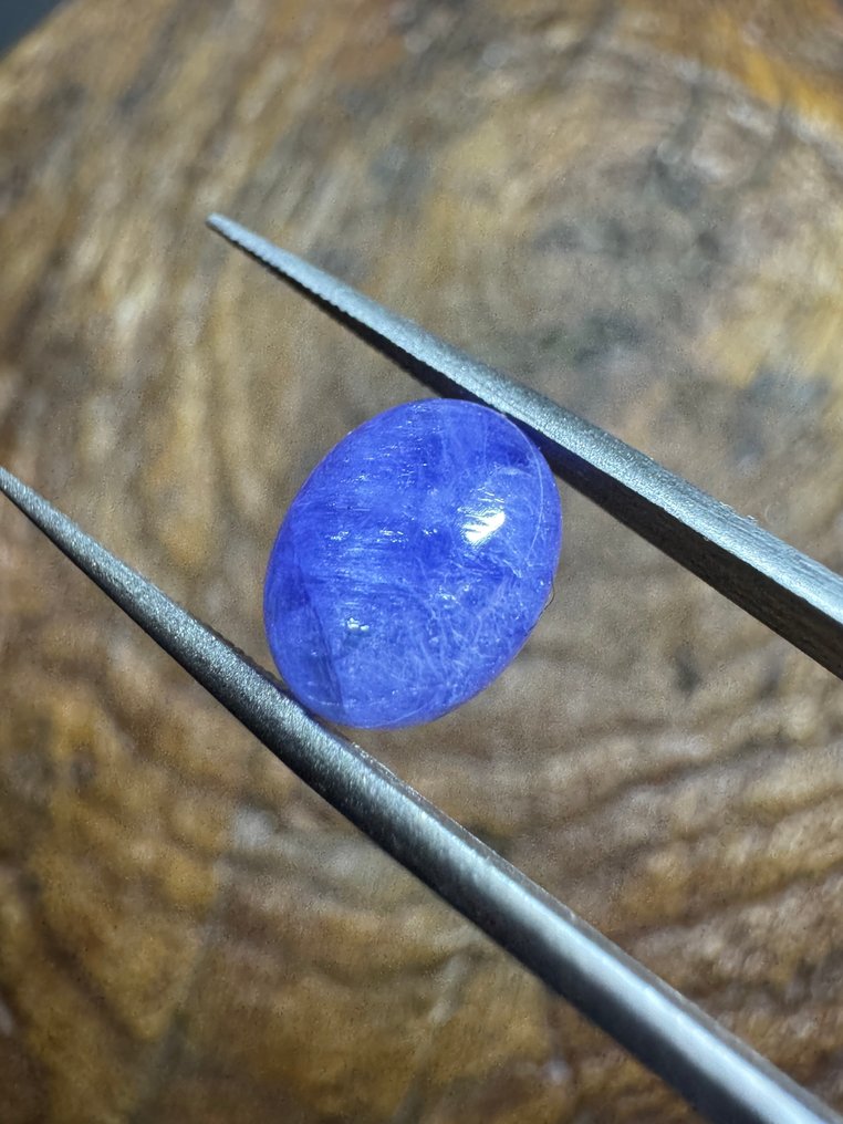 一套2个坦桑石缝制宝石，重8.29克拉 天然圆形宝石- 1.66 g - (2) #3.2