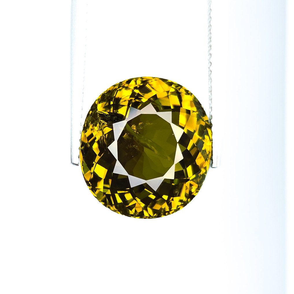 Green Tourmaline - 12.80 ct - International Gemological Institute (IGI) #1.0