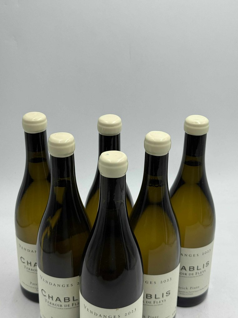 2023 Patrick Piuze Terroir de Fleys - Chablis - 6 Bottles (0.75L) #3.2