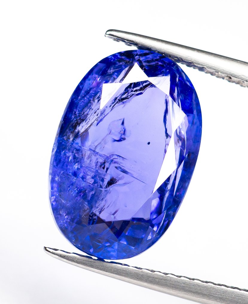 χωρίς τιμή ασφαλείας Τανζανίτης - 6.52 ct - Bellerophon Gemlab - Μωβ-μπλε #1.0