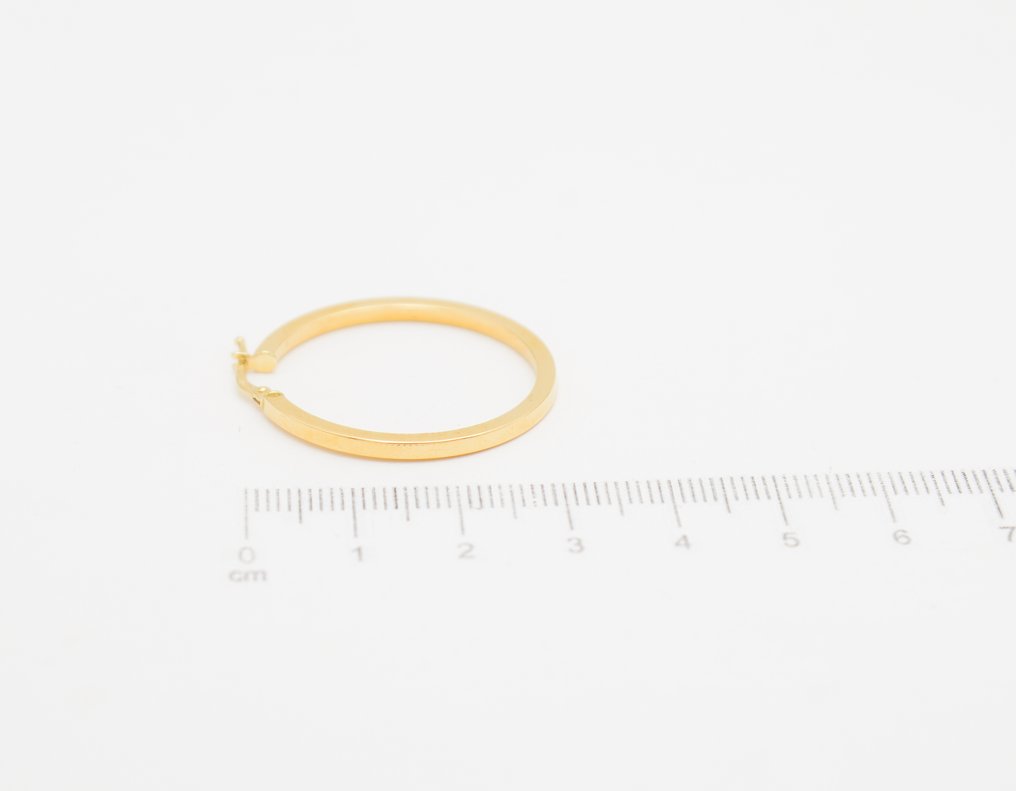 Øreringe - 18 kraat Gulguld #2.1