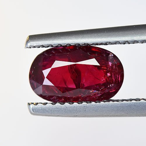 No reserve price - 1 pcs Red Ruby - 1.65 ct - Asian Institute of Gemological Sciences (AIGS) - AIGS Pigeon Blood Color #1.0